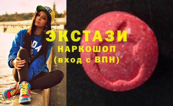 ECSTASY Богданович